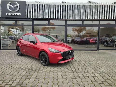 Used MAZDA 2 Hybrid 2024 Ad 