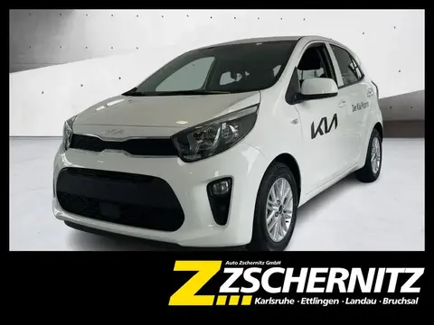 Annonce KIA PICANTO Essence 2024 d'occasion 