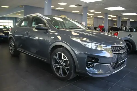 Used KIA XCEED Hybrid 2021 Ad 