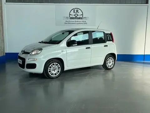 Used FIAT PANDA Petrol 2019 Ad 