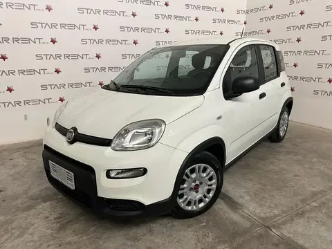 Used FIAT PANDA Hybrid 2023 Ad 