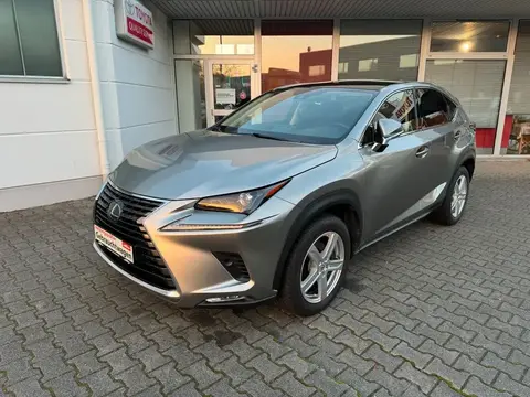 Annonce LEXUS NX Hybride 2019 d'occasion 