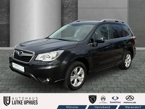 Used SUBARU FORESTER Petrol 2016 Ad 