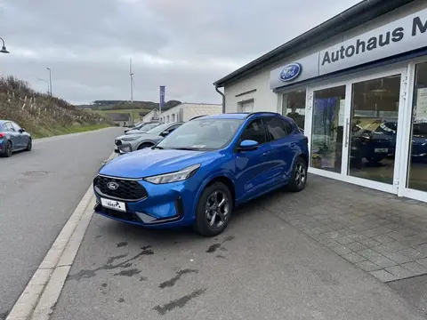 Used FORD KUGA Petrol 2024 Ad 