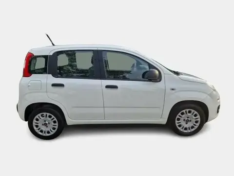 Used FIAT PANDA Petrol 2020 Ad 