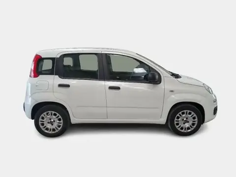 Used FIAT PANDA Petrol 2020 Ad 