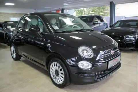 Used FIAT 500 Petrol 2020 Ad 