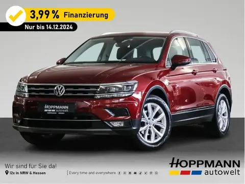 Used VOLKSWAGEN TIGUAN Diesel 2019 Ad 