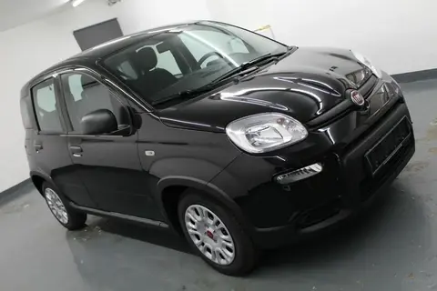 Annonce FIAT PANDA Essence 2022 d'occasion 