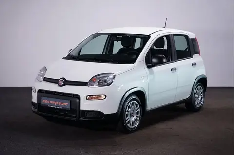 Annonce FIAT PANDA Essence 2024 d'occasion 