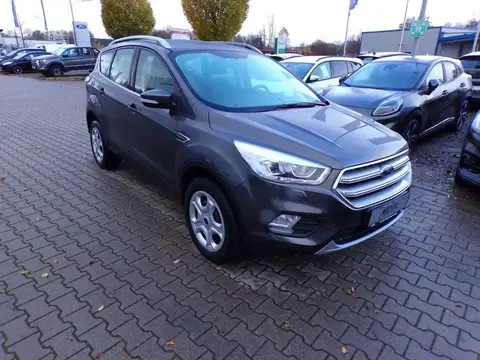 Used FORD KUGA Petrol 2019 Ad 