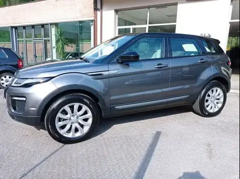 Used LAND ROVER RANGE ROVER EVOQUE Diesel 2018 Ad 