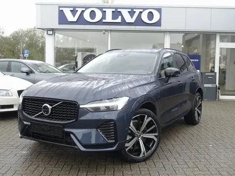 Used VOLVO XC60 Hybrid 2024 Ad 