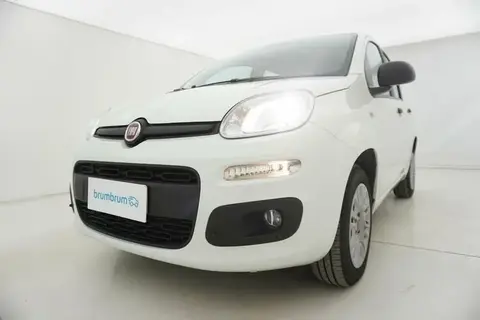 Used FIAT PANDA Petrol 2019 Ad 