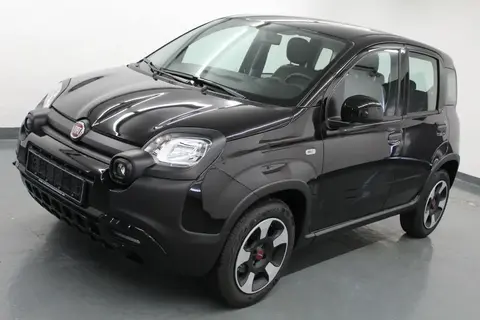 Used FIAT PANDA Petrol 2021 Ad 