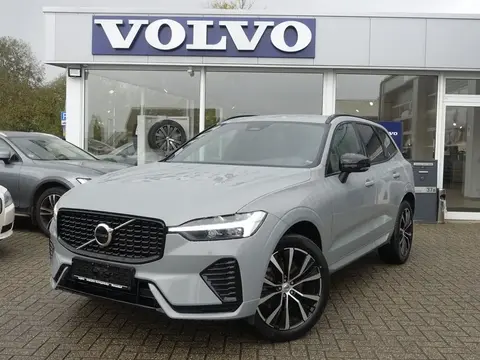 Used VOLVO XC60 Petrol 2024 Ad 