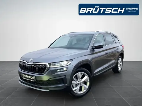 Used SKODA KODIAQ Diesel 2024 Ad Germany