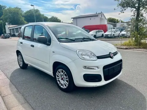 Used FIAT PANDA Petrol 2018 Ad 