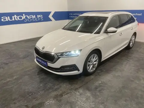 Used SKODA OCTAVIA Diesel 2021 Ad 