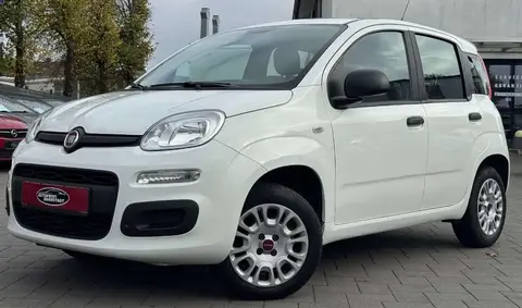 Used FIAT PANDA Petrol 2019 Ad 