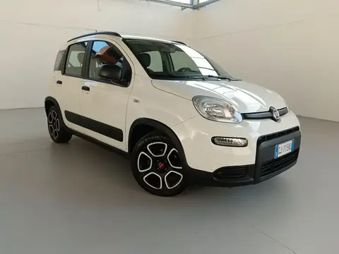 Used FIAT PANDA Hybrid 2022 Ad 