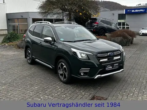 Annonce SUBARU FORESTER Essence 2024 d'occasion 