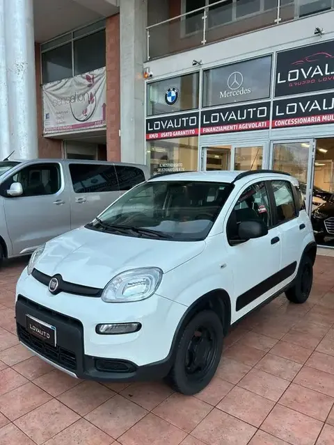 Annonce FIAT PANDA Essence 2019 d'occasion 