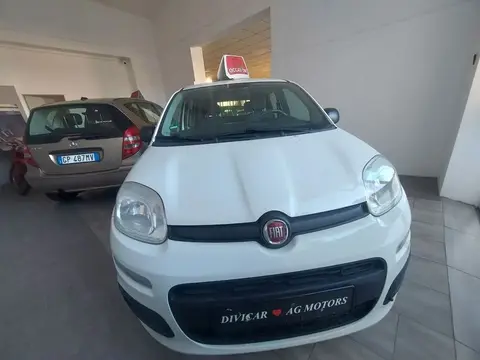 Used FIAT PANDA Petrol 2019 Ad 