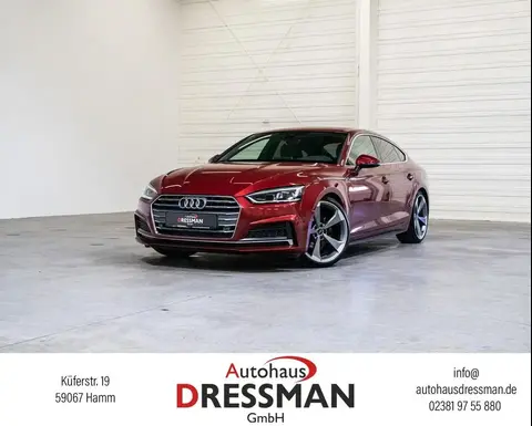 Used AUDI A5 Petrol 2019 Ad 