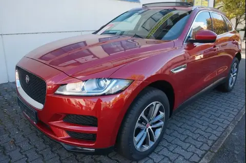 Used JAGUAR F-PACE Diesel 2019 Ad 