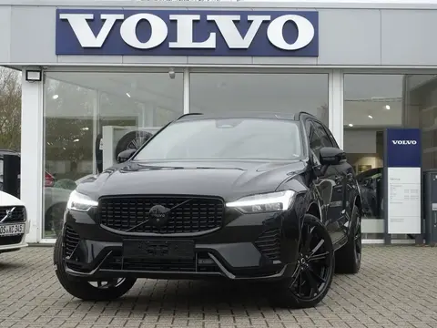 Used VOLVO XC60 Hybrid 2024 Ad 