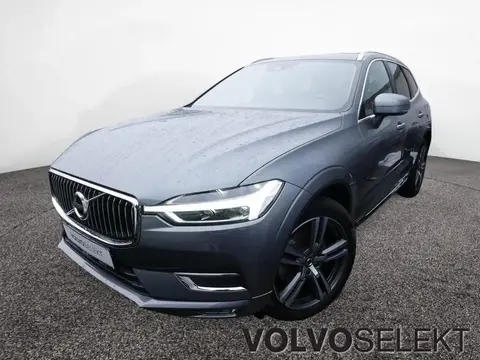 Annonce VOLVO XC60 Diesel 2021 d'occasion 