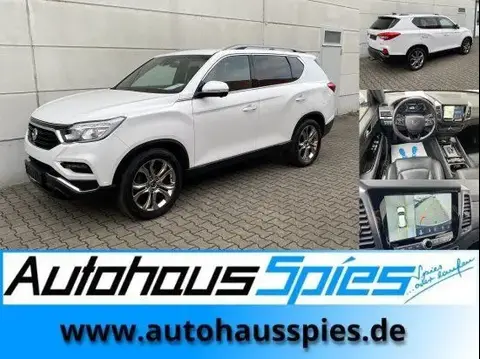 Used SSANGYONG REXTON Diesel 2019 Ad 