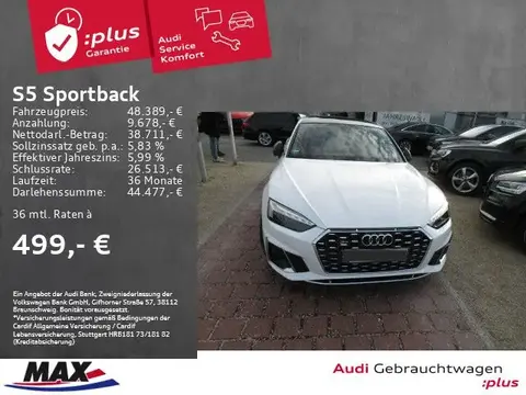 Annonce AUDI S5 Diesel 2021 d'occasion 