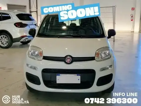 Used FIAT PANDA Petrol 2019 Ad 