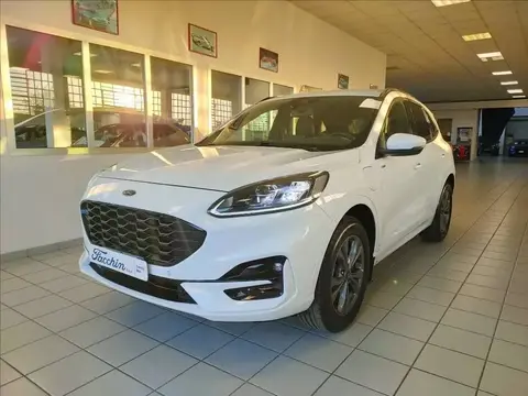 Annonce FORD KUGA Hybride 2021 d'occasion 