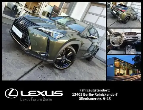 Annonce LEXUS UX Hybride 2021 d'occasion 