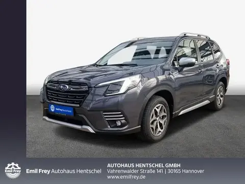 Used SUBARU FORESTER Hybrid 2024 Ad 