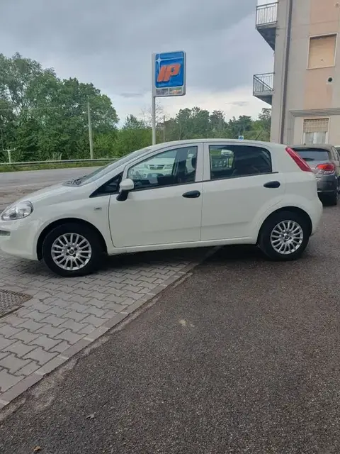 Used FIAT PUNTO LPG 2017 Ad 