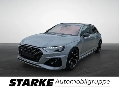 Used AUDI RS4 Petrol 2024 Ad 