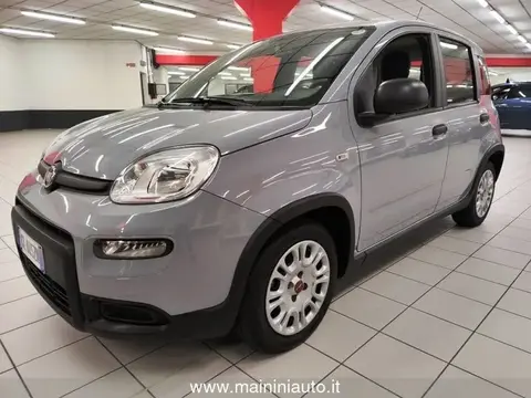 Annonce FIAT PANDA Hybride 2022 d'occasion 