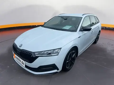 Annonce SKODA OCTAVIA Essence 2024 d'occasion 