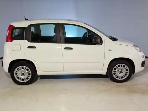 Used FIAT PANDA Petrol 2020 Ad 