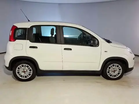 Used FIAT PANDA Hybrid 2022 Ad 