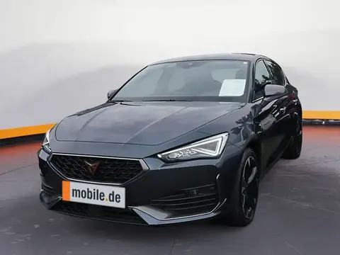 Annonce CUPRA LEON Diesel 2024 d'occasion 