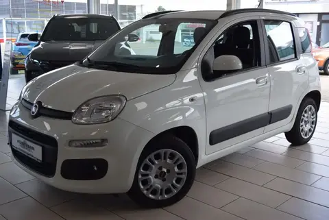 Used FIAT PANDA Petrol 2019 Ad 