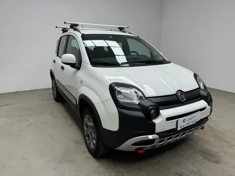 Annonce FIAT PANDA Essence 2021 d'occasion 