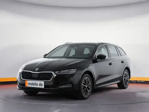 Used SKODA OCTAVIA Diesel 2024 Ad 