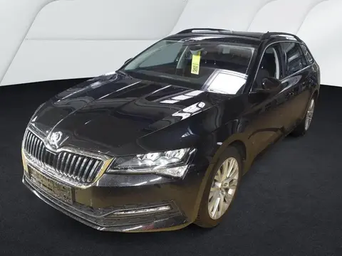 Annonce SKODA SUPERB Diesel 2024 d'occasion 