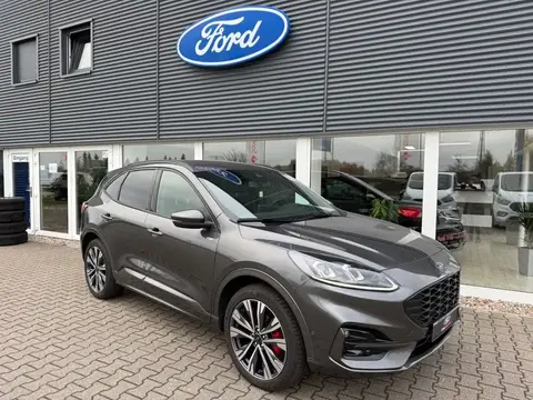 Used FORD KUGA Hybrid 2023 Ad 